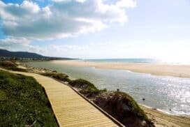 Beach_of_Bolonia_-_005_-_beach
