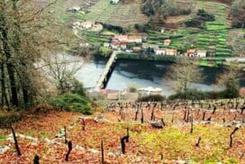 camino de invierno