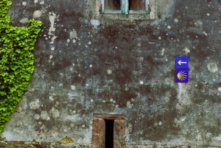 La manera más cómoda de realizar el Camino de Santiago en bici