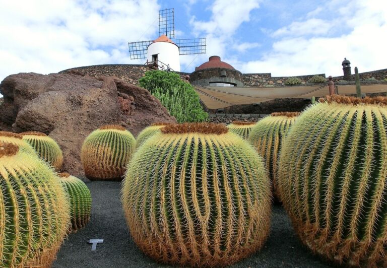 Paisaje volcánico de Lanzarote
